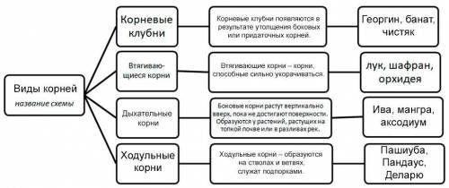 Рассмотрите приведённую ниже схему. Дайте название схеме, дополните её необходимыми данными, примера