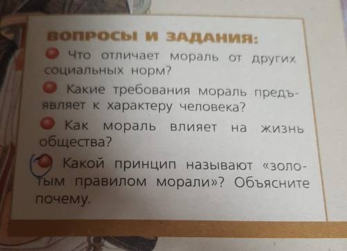 Написать эссе по 4 вопросу кратко 6-7 предложений (отмечен на фото).кто ответит просто так, кину жб