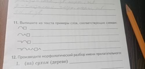 Надо выписать из текста примеры слов, соответствующие схемам