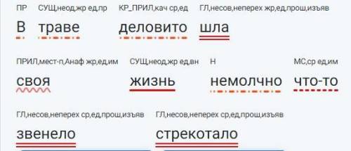 .Выполнить синтаксический разбор предложения+характеристика+расставить знаки препинания. В траве дел