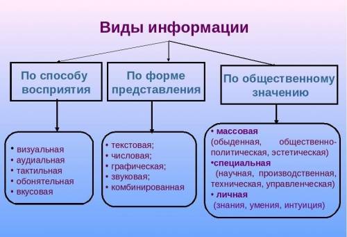 Мини-доклад по теме: виды восприятия и представления информации :)​