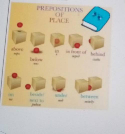 PREPOSITIONS OF PLACE above in in front of behind below under between