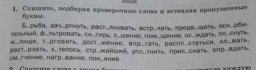 Спишите подбирая проверочные слова всталяя пропушиные слова