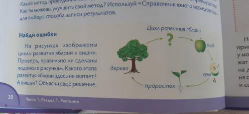 Найди ошибки. На рисунках изображены цикл развития яблони и вишни.Проверь правильно ли сделаны подпи