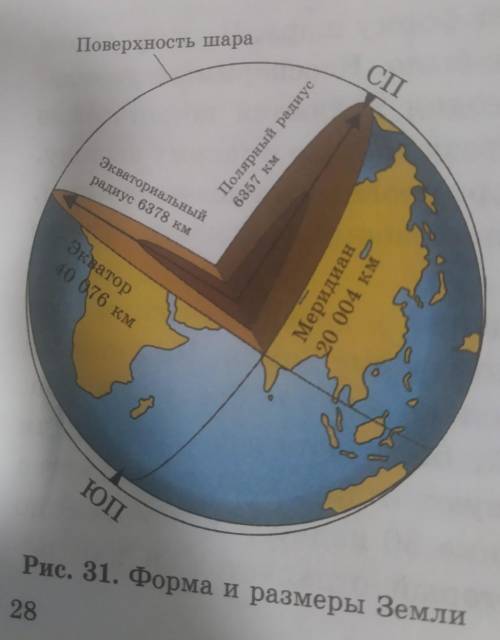 3 Опираясь на рис. 31, опишите форму и размеры земного шара.