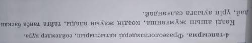 Қазақ тілі 7сынып 31 бет 4тапсырма