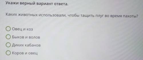 Каких животных использовали, чтобы тащить плуг во время пахоты?