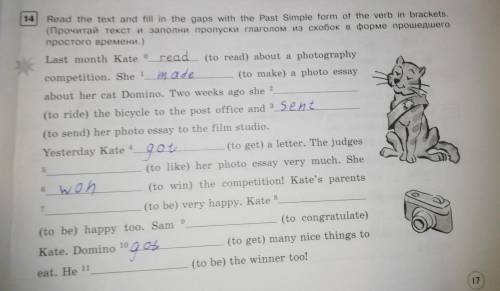 Read the text and fill in the gaps with the Past Simple form of the verb in brackets (Прочитай текст