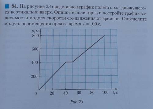 На рисунке 23 представлен график полёта орла, движущегося вертикально вверх. Опишите полёт орла и по
