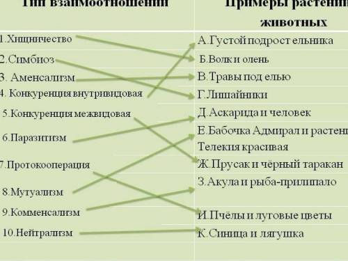 с линий установите взаимоотношения между живыми организмами. муравей. одуванчик пчела. тля мышь. лис