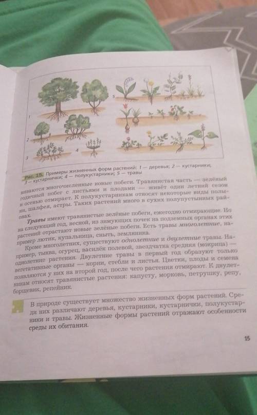 нужно выписать из текста ответы на вопросы 4-5