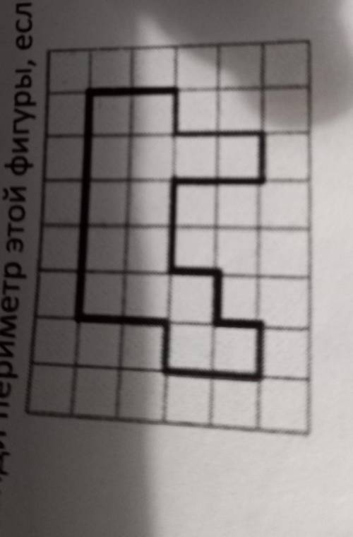 Найди периметр этой фигуры, если сторона одной клетки 2 дм?