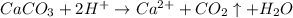 CaCO_{3} + 2H^{+} \to Ca^{2+} + CO_{2}\uparrow + H_{2} O