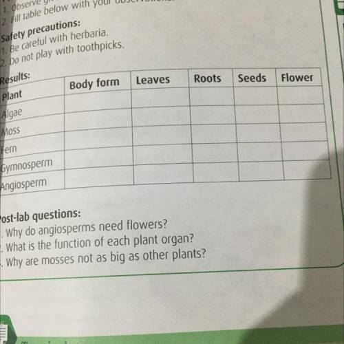 Results: Leaves Roots Body form Seeds Flower Plant Algae Moss Fern Gymnosperm Angiosperm Что делат