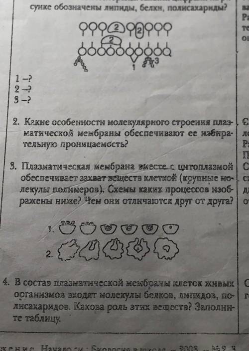 Только задание номер 3 биология