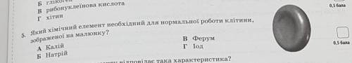 Який хімічний елемент необхідний для нориальної роботи клітини, зображеної на малюнку