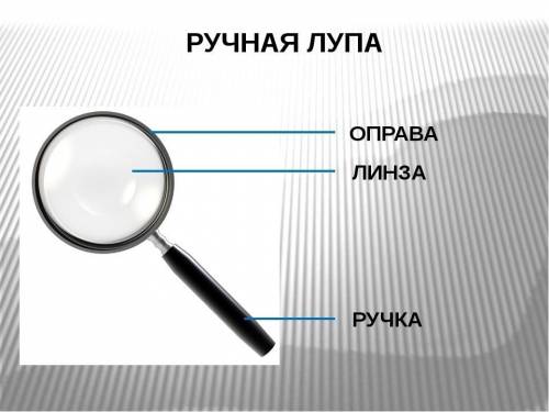 Зарисовать и подписать строение лупы и светлого микроскопа.Сделать соответствующие выводы. КТО ОТВЕТ