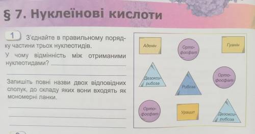 З'єднайте в правильному поряд- ку частини трьох нуклеотидів. У чому відмінність між отриманими нукле