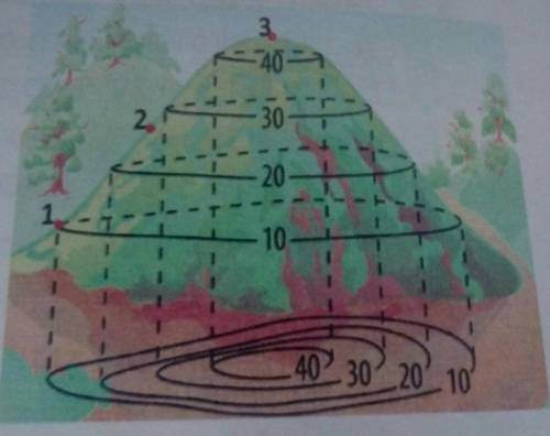 Розглянь зображення. Установи, яка відносна висота вершини пагорба в метрах (точка 3), якщо його під