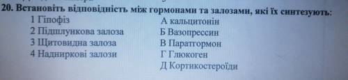 20. Встановіть відповідність між гормонами та залозами, які їх синтезують: 1 Гіпофіз А кальцитонін 2