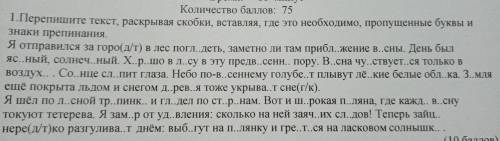 препешите текст, раскрывая скобки, вставляя, где это необходимо, пропущенные буквы и знаки препинани