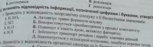 Встановіть відповідність інформації, позначеної цифрами і буквами, утворіть пари