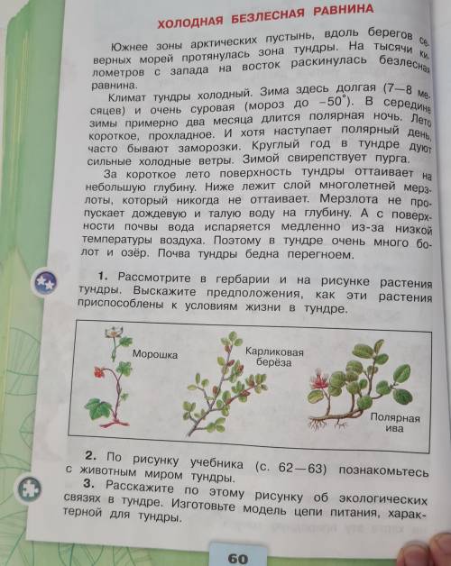 из этих страниц учебника надо выписать в тетради экологические проблемы и их решения прописать