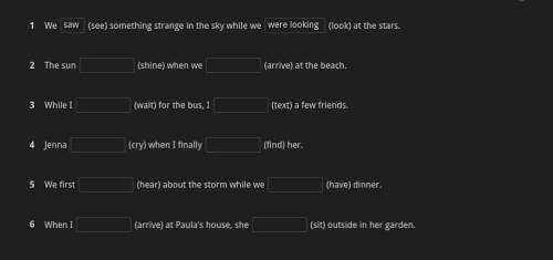 Complete the sentences with the Past Simple or Past Continuous form of the verbs in brackets.