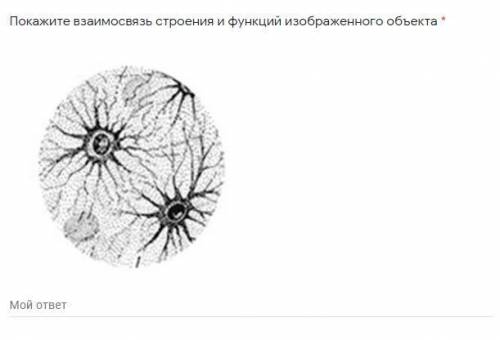 Покажите взаимосвязь строения и функций изображенного объекта