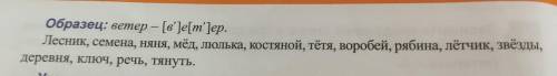 Запишите слова, в которых буквы Е, Ё, Ю, Я обозначают один звук. Укажите в транскрипции согласные, к