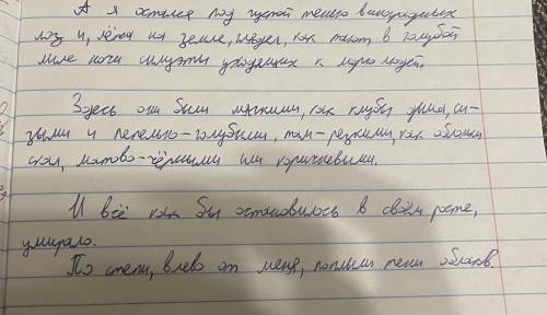 Объясните графически или схематически написание каждого знака препинания в трёх предложениях