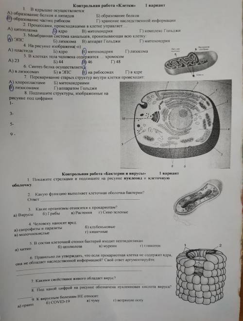 Биология 9 класс контрольная работа по теме: Клетки