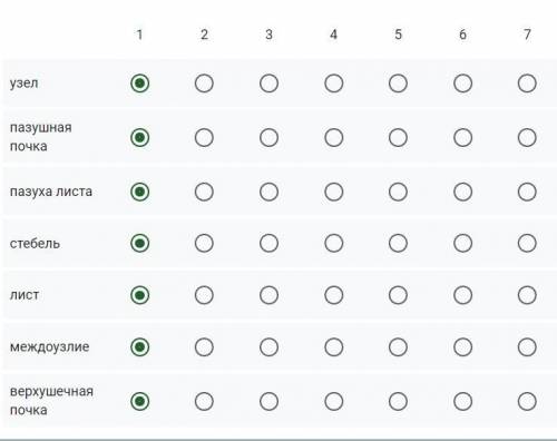 . Приведите к соответствию.