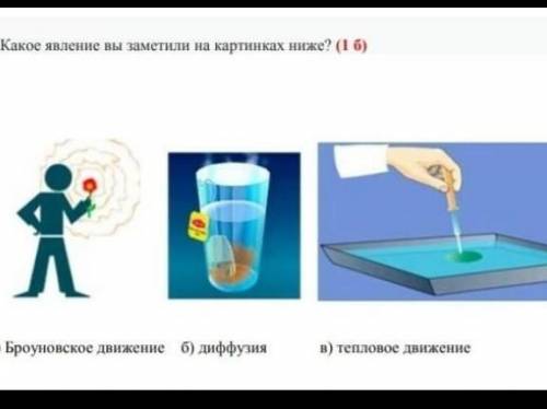 2. Какое явление вы заметили на картинках ниже? > А) Броуновское движение б) диффузия в) тепловое