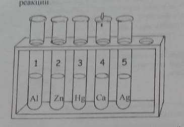 3.посмотрите на рисунок. во все пробирки налит раствор соляной кислоты НСI. В них поместили металлы.