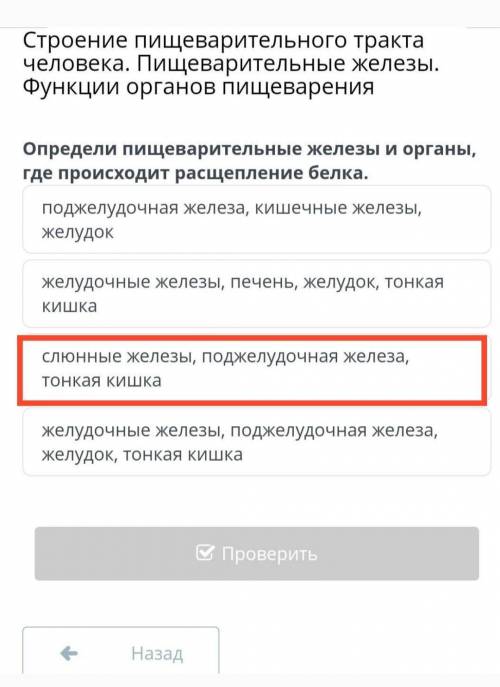 Определи пищеварительные железы и органы, где происходит расщепление белка. поджелудочная железа, ки