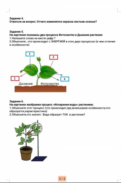 тема фотосинтез/дыхание. 6 класс