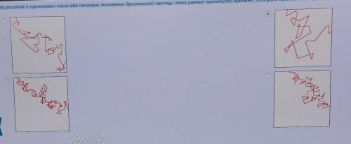 На рисунках в одинаковом масштабе показаны положения броуновской частицы через равные промежутки вре