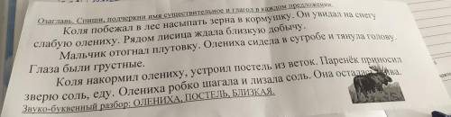 Озаглавь. Спиши, подчеркни имя существительное и глагол в каждом предложении. Коля побежал в лес нас