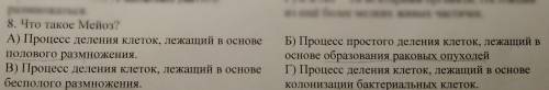 Что такое Мейоз? Варианты ответов на картинке.