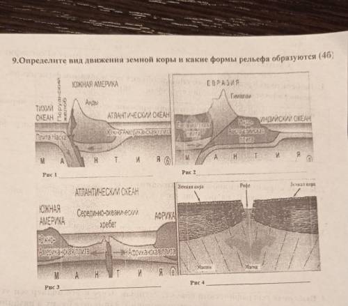 9.Определите вид движения земной коры и какие формы рельефа образуются