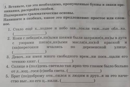 Вставьте где надо пропущенные буквы и знаки препинания подчеркните грамматическую основу Напишите в