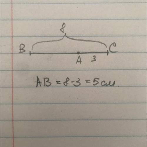 Точка А делит отрезок ВС на два отрезка. ВС = 8 см, АС = 3 см. Тогда АВ будет равен: 1) 11 см; 2) 5