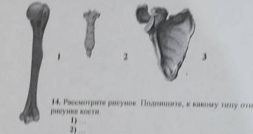 Задания 14, 15 выполняют с использованием приведённого ниже рисунка. 1 2 3 14. Рассмотрите рисунок.