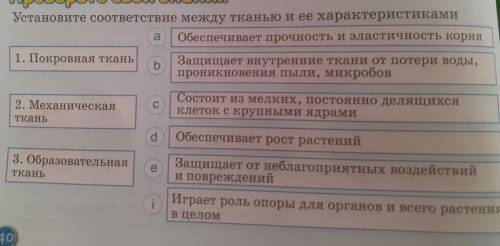 Установите соответствие между тканью и ее характеристиками