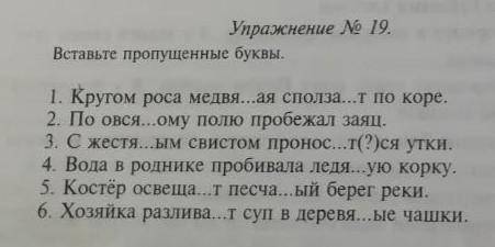 Вставьте пропущенные буквы.1. Кругом роса медвя...ая сполза...т по коре.2. По овся...ому полю пробеж