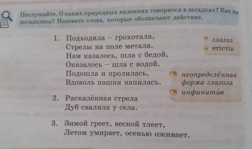 Нозавите слова которые обозначают действие.