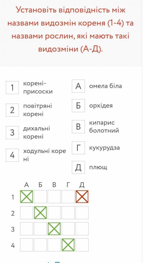 Яка зона кореня виконує функцію захисту верхівкової твірної тканини? Кореневий чохлик Провідна зона