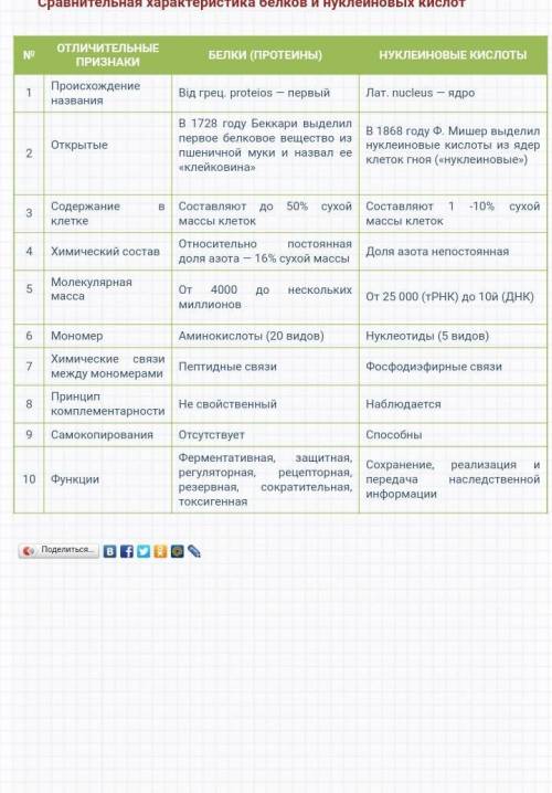 Порівняти функції білків і нуклеїнових кислот