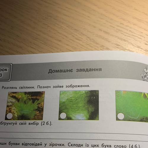 4. Розглянь світлини. Познач зайве зображення. » Обгрунтуй свій вибір (2 б.).